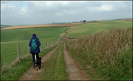 Walking through farmland 