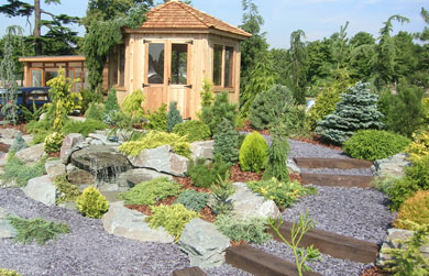Cedrus and Friends