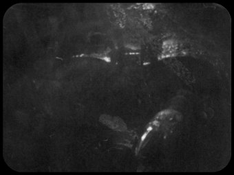 53