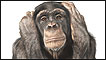 Foto: Creature, de Andrew Zuckerman