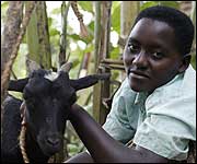 African boy with goat