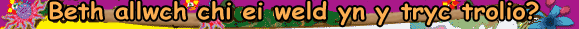 Be welwch chi?