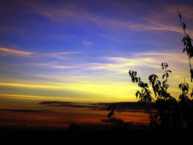 Autumn sunset
