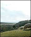 Abbotsbury