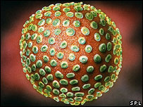 Virus HIV
