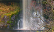 Thornton Force © Scott Leach