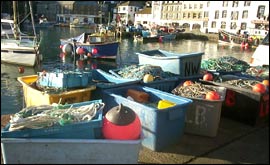 Fishing nets on the harbour