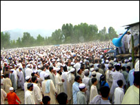 حامی 