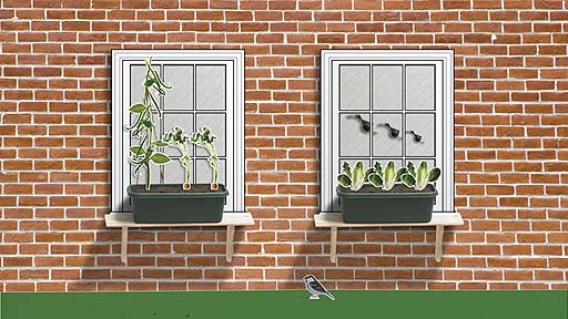 A window