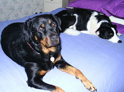 Jasmine and Jake