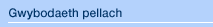 Gwybodaeth pellach