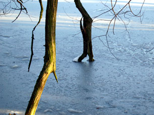 Loch reòite