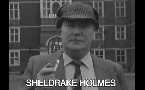 Sheldrake Holmes