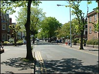 The Avenue