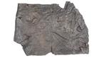 Roman Leather shield panel