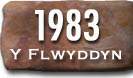 Blwyddyn