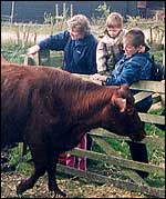 Pic: a cow and children.