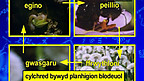 Cylchred Bywyd Planhigyn