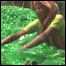 Trabalhadores em fábrica de reciclagem em Bangladesh