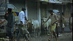 Hinsawdd Monsŵn yn India