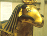 Mummy of a ram