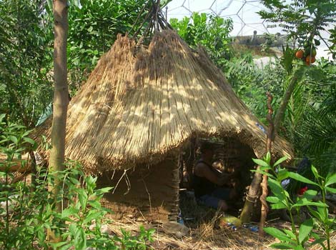 The hot biome at Eden