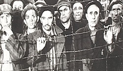 camp inmates