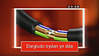 Dargludydd