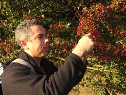 Yun Hilder forager