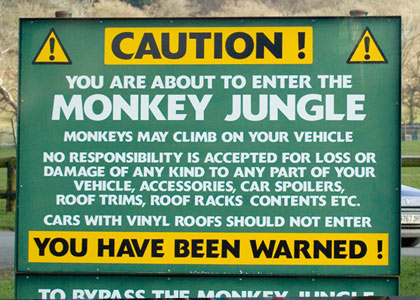 Rallyoke - we meet some cheeky monkeys