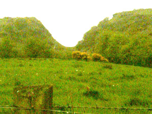 Bernish Glen