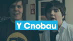 Proffeil Fideo Y Cnobau