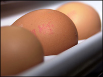 Eggs