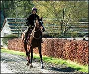 Horse rider