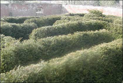 Maze picture
