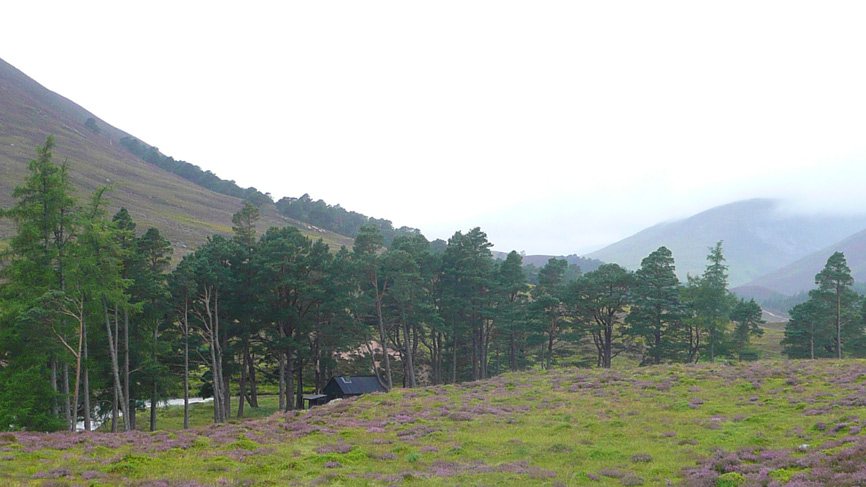 Bob Scott's Bothy, set among trees