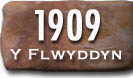 Blwyddyn