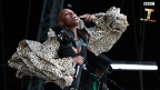 Skunk Anansie