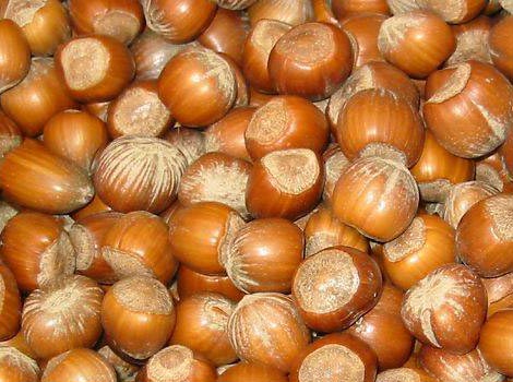 Hazelnuts