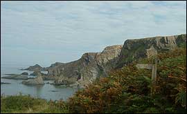 Coast path near Hartland Quay