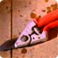 Secateurs