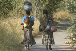 Women in Zimbabwe