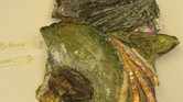 Mixed media landscape... Mixed media landscape...