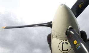 Spitfire