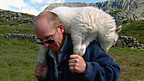 Farmer with Sheep