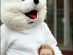 拥抱复活节帮尼兔子（Easter bunny）。