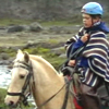 Horse Riding