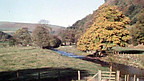 Dyffryn Ceiriog 