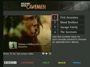 Walking with Cavemen
