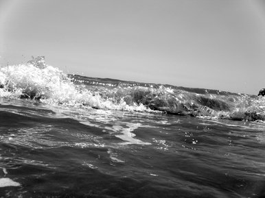 The Ocean